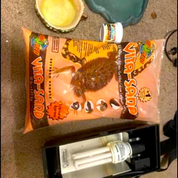 Reptile stuff make an offer